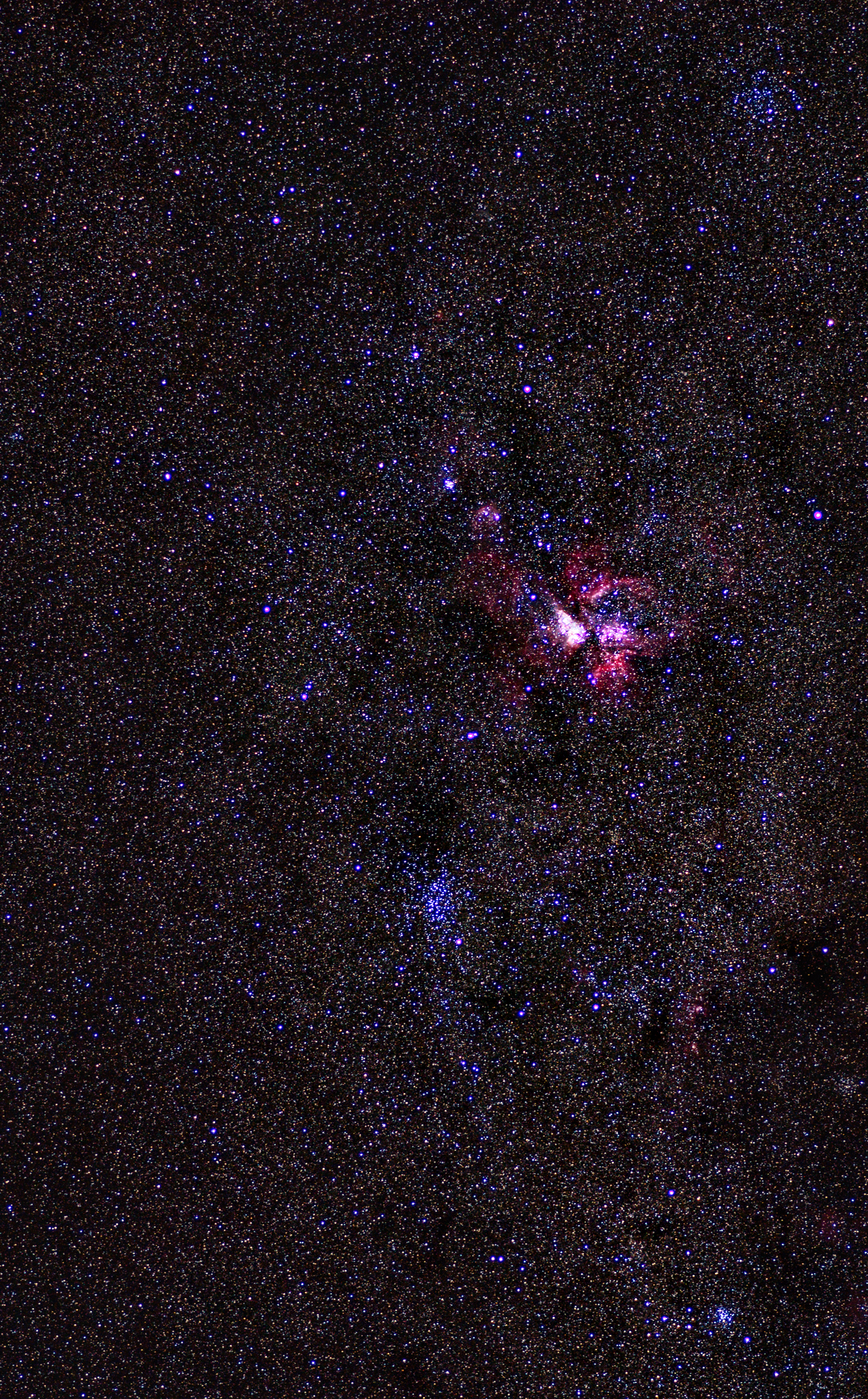 Astro hawks nest 1
